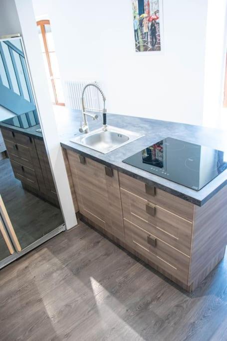 Angers Centre- Gare - Chateau - Duplex 2 Chambres Ngoại thất bức ảnh