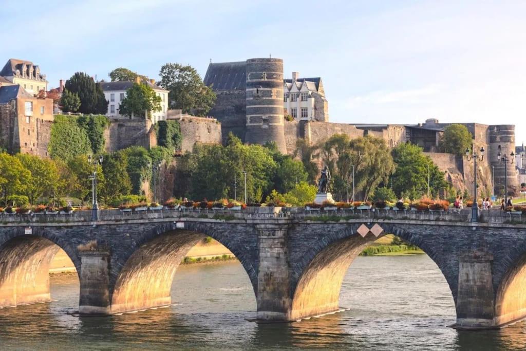 Angers Centre- Gare - Chateau - Duplex 2 Chambres Ngoại thất bức ảnh